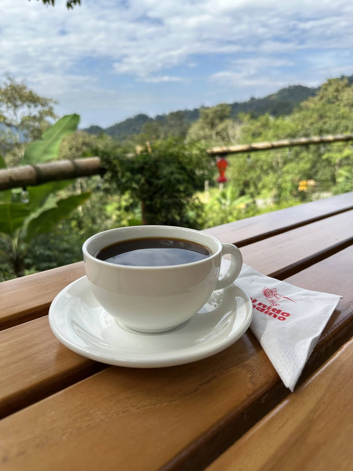 A black coffee with a view of the countryside at El Nido Andino