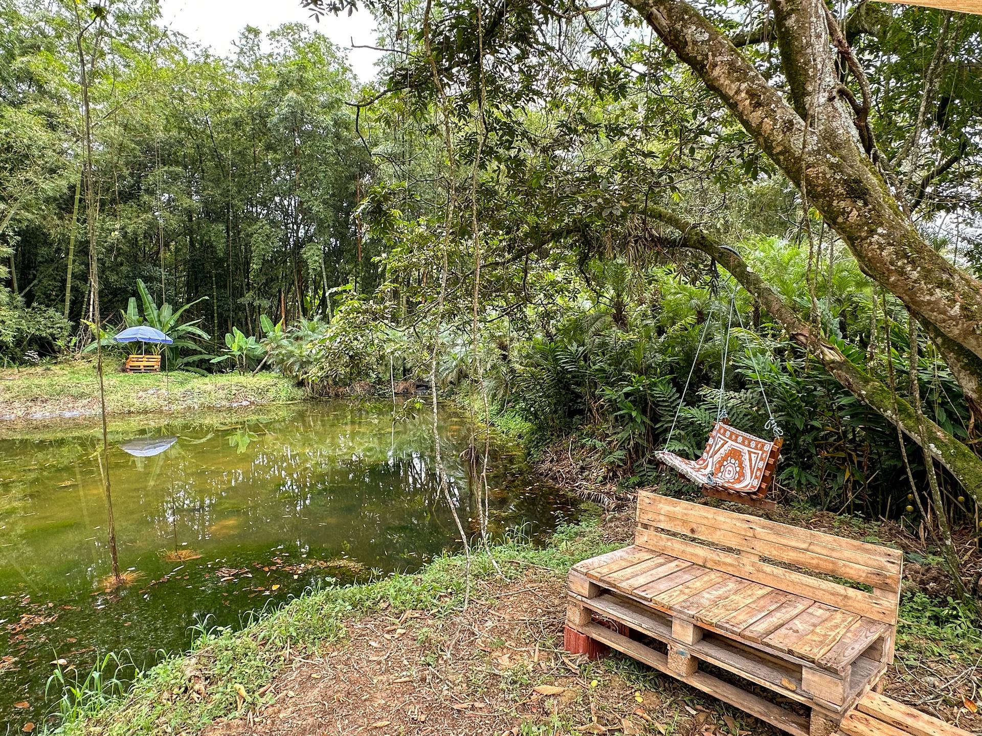 Gardens and nature at El Nido Andino