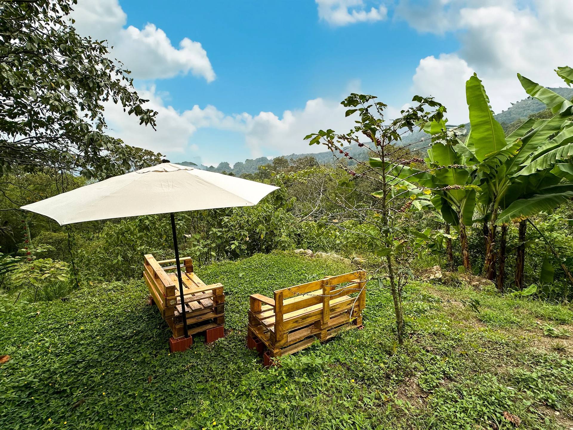 Mirador con bancas de madera en El Nido Andino — senderos ecoturísticos en La Mesa Cundinamarca